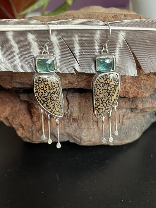 Fossil Earrings