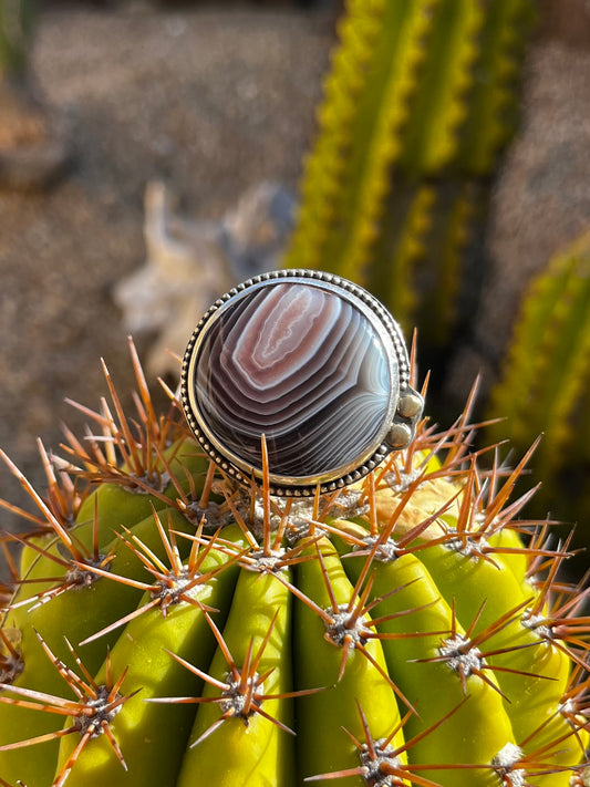 Botswana Agate Ring 2