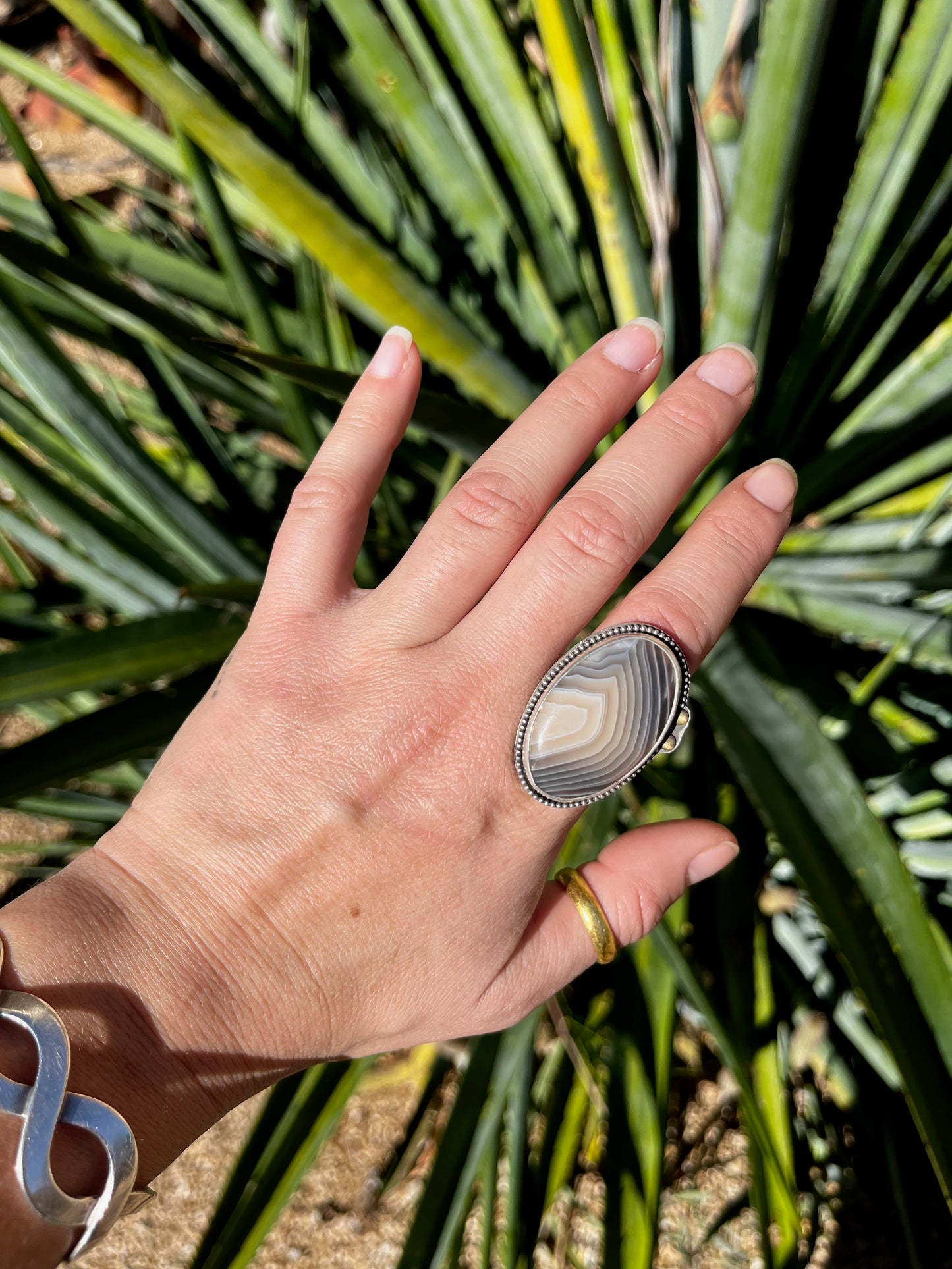 Botswana Agate Ring 3